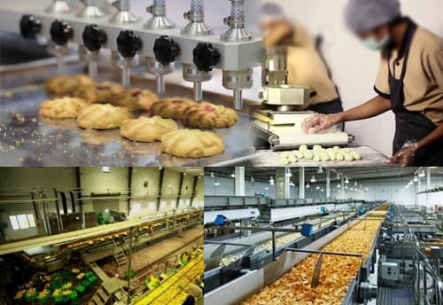Micro Food Processing Enterprise